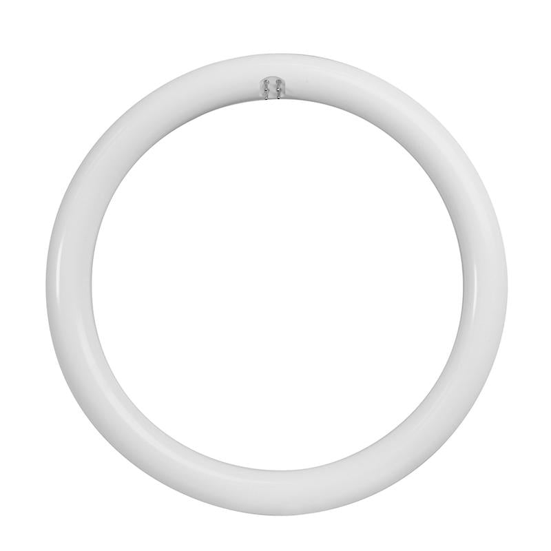 Feit Plug & Play T9 Cool White 12 in. G10Q Circular LED Bulb 32 Watt Equivalence 1 pk