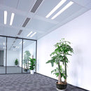 Feit Plug & Play T9 Cool White 12 in. G10Q Circular LED Bulb 32 Watt Equivalence 1 pk