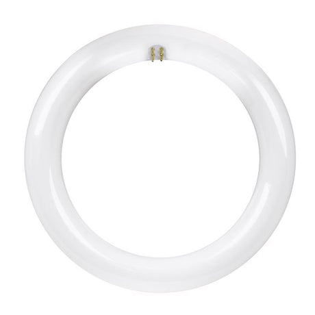 Feit Plug & Play Specialty Cool White 1.2 in. G10Q Circular LED Bulb 22 Watt Equivalence 1 pk