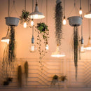 Feit LED Filament G25 E26 (Medium) Filament LED Bulb Smoke Daylight 40 Watt Equivalence 1 pk