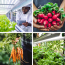 Feit Plug & Play T8 and T12 Blue 48 in. G13 Linear LED Bulb 20 Watt Equivalence 1 pk