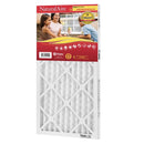 NaturalAire 16 in. W X 25 in. H X 1 in. D Synthetic 10 MERV Pleated Microparticle Air Filter 1 pk