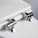 Mayfair by Bemis Benton Slow Close Elongated White Enameled Wood Toilet Seat