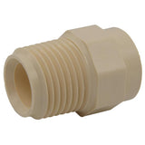 CPVC ADPTR S40 1/2"M