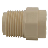 Charlotte Pipe FlowGuard Schedule 40 1/2 in. Socket X 1/2 in. D MNPT CPVC Adapter 1 pk