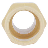 Charlotte Pipe FlowGuard Schedule 40 3/4 in. Socket X 3/4 in. D MNPT CPVC Adapter 1 pk