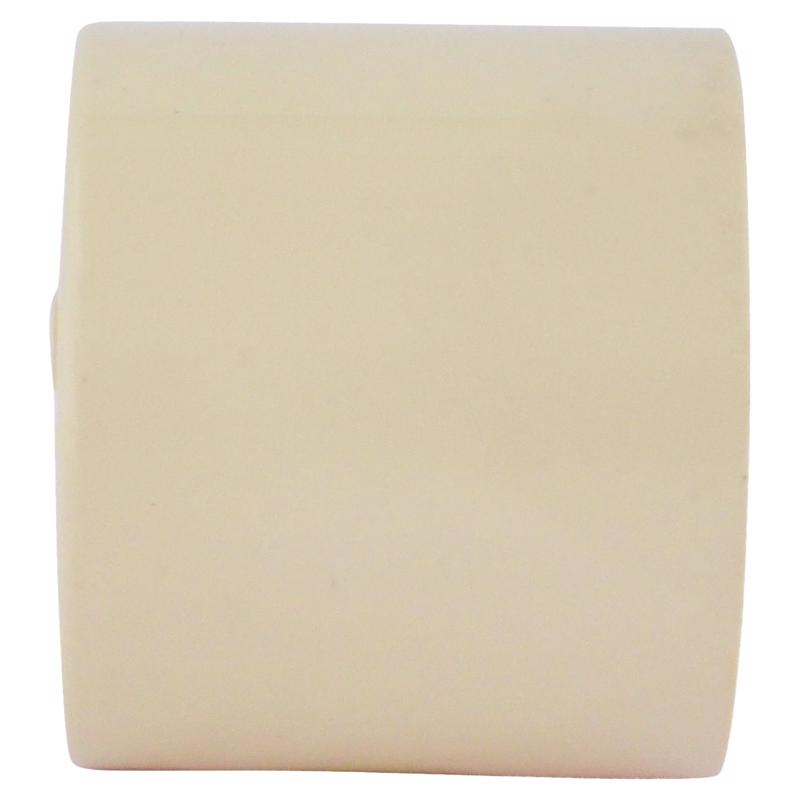 Charlotte Pipe FlowGuard 3/4 in. Hub CPVC Cap 1 pk