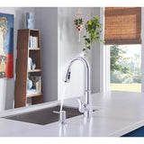 Moen Hadley One Handle Chrome Pull-Down Kitchen Faucet