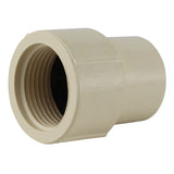 Apollo Schedule 40 3/4 in. Slip in to X 3/4 in. D FNPT CPVC Female Adapter 10 pk