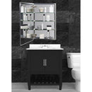 Zenna Home 26 in. H X 15 in. W X 5 in. D Rectangle Medicine Cabinet/Mirror