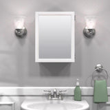 Zenna Home 19.25 in. H X 15.25 in. W X 4.25 in. D Rectangle Medicine Cabinet/Mirror