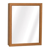 Zenna Home 19.25 in. H X 15.5 in. W X 4.5 in. D Rectangle Medicine Cabinet/Mirror