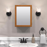 Zenna Home 19.25 in. H X 15.5 in. W X 4.5 in. D Rectangle Medicine Cabinet/Mirror