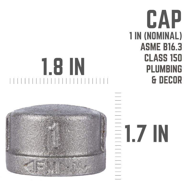 STZ Industries 1 in. FIP each Black Malleable Iron Cap