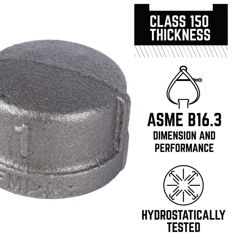 STZ Industries 1 in. FIP each Black Malleable Iron Cap