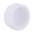 CAP SCH 40 3"FPT