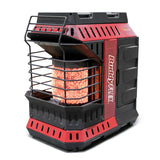 BUDDY FLEX HEATER MA&CAN