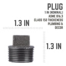 STZ Industries 1 in. MIP each Black Malleable Iron Plug
