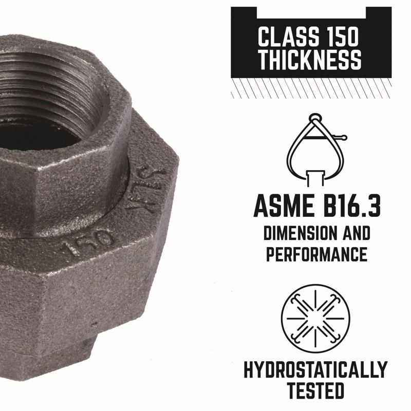 STZ Industries 1/2 in. FIP each X 1/2 in. D FIP Black Malleable Iron Union