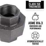 STZ Industries 1 in. FIP each X 1 in. D FIP Black Malleable Iron Union