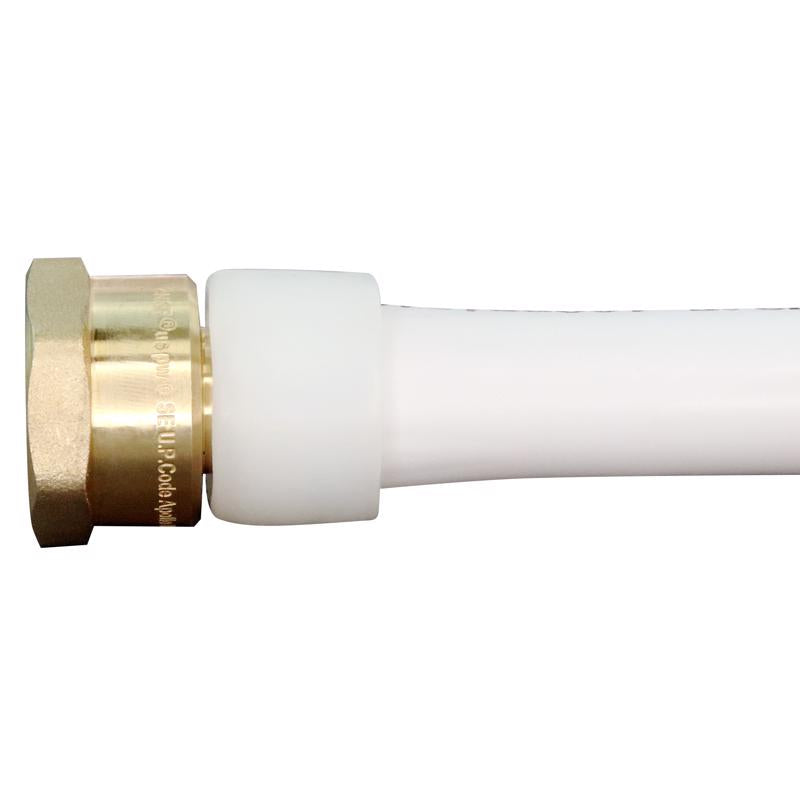 Apollo PEX-A 3/4 in. Expansion PEX in to X 3/4 in. D FNPT Brass Adapter