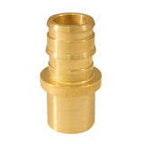 Apollo PEX-A 1/2 in. Expansion PEX in to X 1/2 in. D Sweat Brass Male Adapter