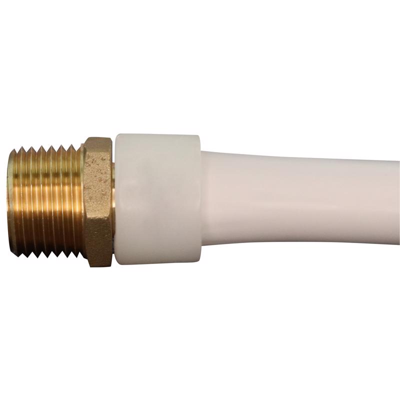 Apollo PEX-A 3/4 in. Expansion PEX in to X 3/4 in. D MNPT Brass Adapter