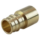 Apollo PEX-A 3/4 in. Expansion PEX in to X 3/4 in. D Female Sweat Brass Adapter
