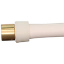 Apollo PEX-A 3/4 in. Expansion PEX in to X 3/4 in. D Female Sweat Brass Adapter