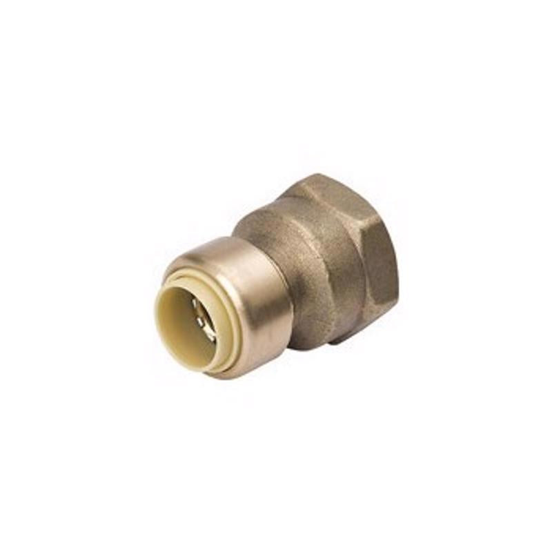 REDUSING ADAPTR FPT 1/2"