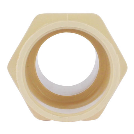 Charlotte Pipe FlowGuard 1 in. Socket X 1 in. D Slip CPVC Adapter