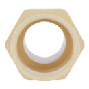 Charlotte Pipe FlowGuard 1 in. Socket X 1 in. D Slip CPVC Adapter