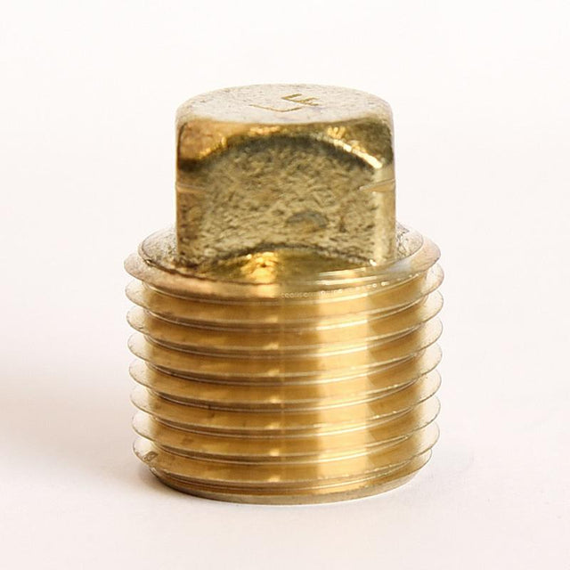 CORED PLUG 1/2" MPT