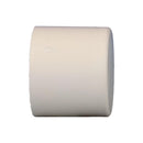 Charlotte Pipe FlowGuard 1 in. Slip X 1 in. D Slip CPVC Drain Cap