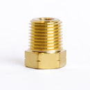 CORED HEX PLUG 1/8" MPT