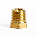 CORED HEX PLUG 1/4" MPT