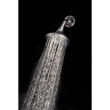 Whedon Blaster Massage Brushed Nickel Nickel 5 settings Wallmount Showerhead 2.5 gpm