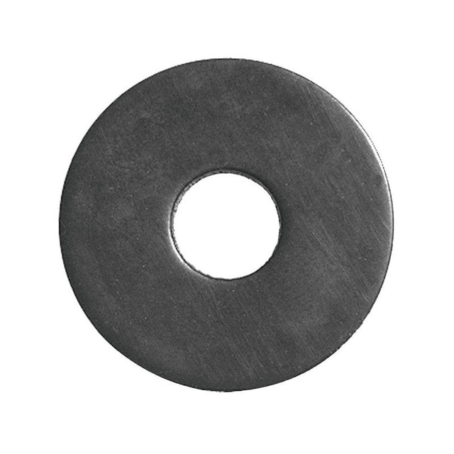 WASHER TANK BOLT 5/16"