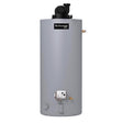 WATER HTR NG SHORT 50GAL