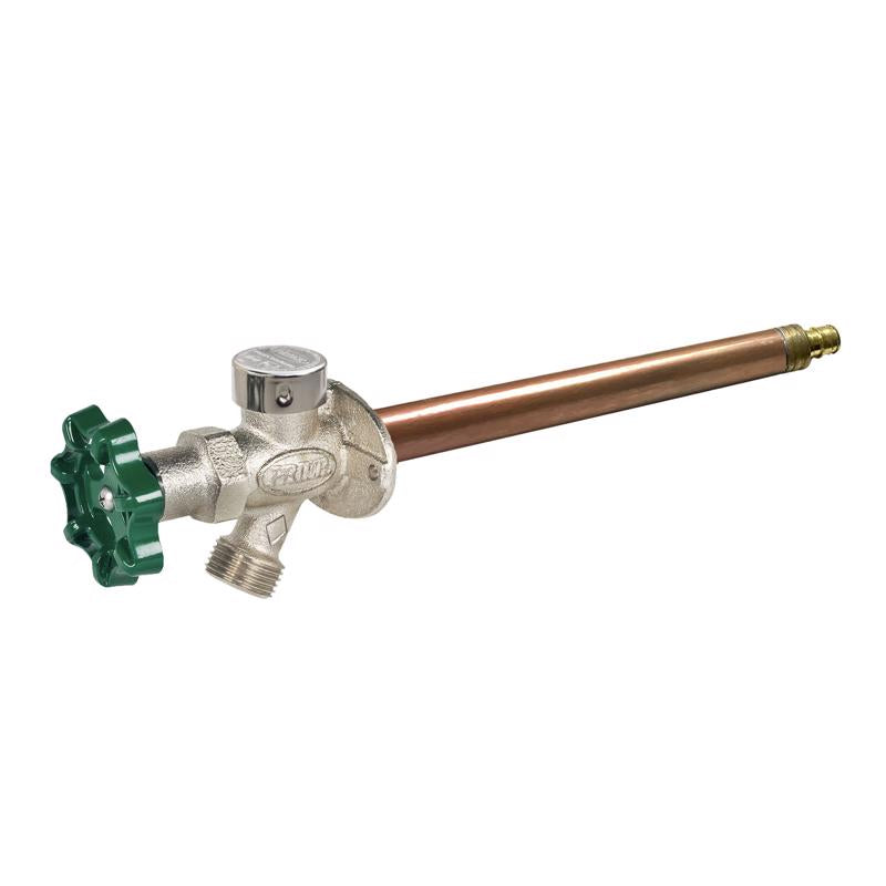 FRZ WL HYDRNT PX 1/2X10"