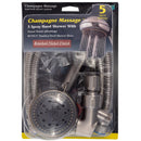 Whedon Champagne Massage Brushed Nickel Plastic 5 settings Handheld Showerhead 2 gpm