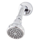 Whedon Chrome Plastic 1 settings Wallmount Showerhead 2 gpm