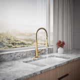 Kohler Leste One Handle Vibrant Brushed Moderne Brass Pull-Down Kitchen Faucet