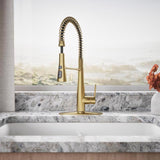 Kohler Leste One Handle Vibrant Brushed Moderne Brass Pull-Down Kitchen Faucet