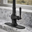 Kohler Treaty One Handle Matte Black Pull-Down Kitchen Faucet