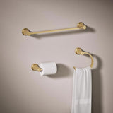 Kohler Sivaro Brushed Accessory Kit 18 in. L Metal