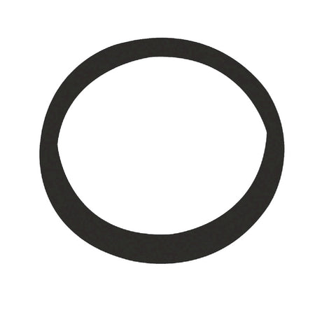 Plumb Pak 1-1/4 in. D Rubber Slip Joint Washer 1 pk