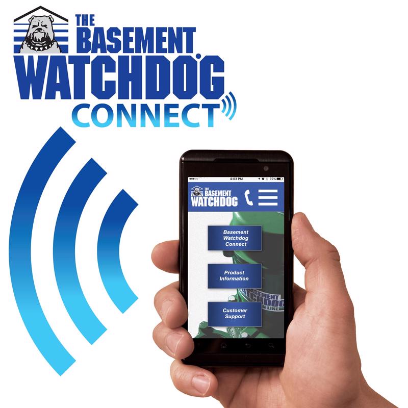 The Basement Watchdog 1/3 HP 2,600 gph Thermoplastic Dual Reed Switch Battery Backup Sump Pump