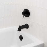 Danco 3 in. Matte Black Round Plastic Overflow Plate