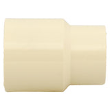 Charlotte Pipe 3/4 in. Slip X 3/4 in. D Slip CPVC Adapter 1 pk